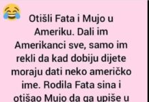 VIC DANA: Fata i Mujo u Americi VIC DANA: Fata i Mujo u Americi - featured image
