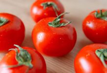 Izbacite odmah paradajz iz ishrane ako bolujete od ovih bolesti, može vam napraviti katastrofu u organizmu!!!! Izbacite odmah paradajz iz ishrane ako bolujete od ovih bolesti, može vam napraviti katastrofu u organizmu!!!! - featured image