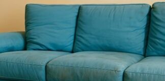 Muškarac je na putu pronašao trudnu nemačku ovčarku; kada je pas oštenio, veterinar je iznenađeno otkrio ko se pojavio na svetu. Muškarac je na putu pronašao trudnu nemačku ovčarku; kada je pas oštenio, veterinar je iznenađeno otkrio ko se pojavio na svetu. - featured image