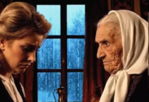 Snaha je htela da me pošalje u starački dom i proda moju rođenu kuću čim mi je muž umro, a onda je ulični mačak kog sam spasila izvukao žuti koverat ispod sećije koji je u sekundi srušio sve njene zle planove Snaha je htela da me pošalje u starački dom i proda moju rođenu kuću čim mi je muž umro, a onda je ulični mačak kog sam spasila izvukao žuti koverat ispod sećije koji je u sekundi srušio sve njene zle planove - featured image