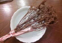 Veliki greh je da se prospe: A šta je ispravno uraditi sa starom, kada uzmemo novu osveštanu vodu? Veliki greh je da se prospe: A šta je ispravno uraditi sa starom, kada uzmemo novu osveštanu vodu? - featured image