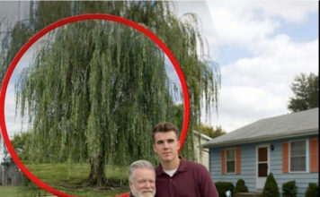 Mislio sam da sam ostao bez svega — dok nisam otvorio sef Mislio sam da sam ostao bez svega — dok nisam otvorio sef - featured image