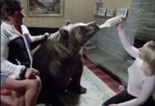 Ova žena nije mogla da ima decu, pa je kupila bebu medveda da ga odgoji kao sina: Ono što se dalje desilo – niko nije mogao ni da sanja Ova žena nije mogla da ima decu, pa je kupila bebu medveda da ga odgoji kao sina: Ono što se dalje desilo – niko nije mogao ni da sanja - featured image