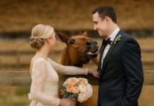 Tokom svadbenog fotografisanja, moj konj je iznenada počeo da rže kad je video mog verenika, a zatim ga je ugrizao — tek kasnije sam shvatila zašto… Tokom svadbenog fotografisanja, moj konj je iznenada počeo da rže kad je video mog verenika, a zatim ga je ugrizao — tek kasnije sam shvatila zašto… - featured image