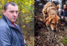 Pas je uznemireno lajao i poveo me u šumu, a onda sam nakon 30 godina saznao istinu o nestanku svog oca: Prizor koji sam zatekao sledio mi je krv u žilama Pas je uznemireno lajao i poveo me u šumu, a onda sam nakon 30 godina saznao istinu o nestanku svog oca: Prizor koji sam zatekao sledio mi je krv u žilama - featured image
