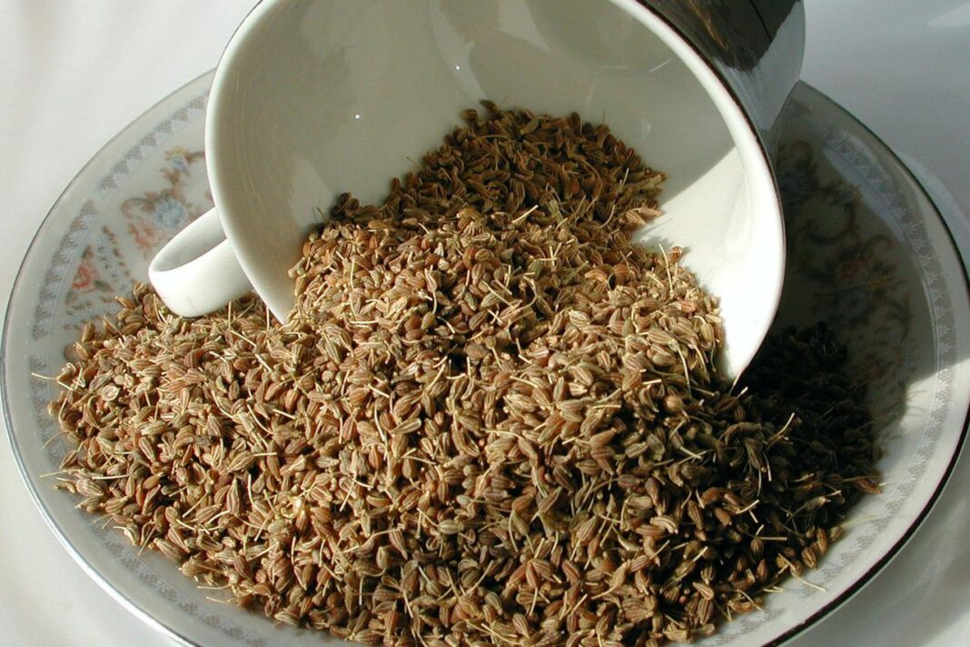 POLA KAŠIČICE OVIH SJEMENKI SIPAJTE U JOGURT – LIJEK ZA ŽENE U MENOPAUZI: Sprječava upale, čuva kosti, skida kilograme! - featured image POLA KAŠIČICE OVIH SJEMENKI SIPAJTE U JOGURT – LIJEK ZA ŽENE U MENOPAUZI: Sprječava upale, čuva kosti, skida kilograme! - featured image