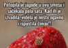 Potopila je jagode u ovu smesu i sačekala pola sata: Kad ih je izvadila, videla je nešto ogavno i ispustila činiju!!! Potopila je jagode u ovu smesu i sačekala pola sata: Kad ih je izvadila, videla je nešto ogavno i ispustila činiju!!! - featured image