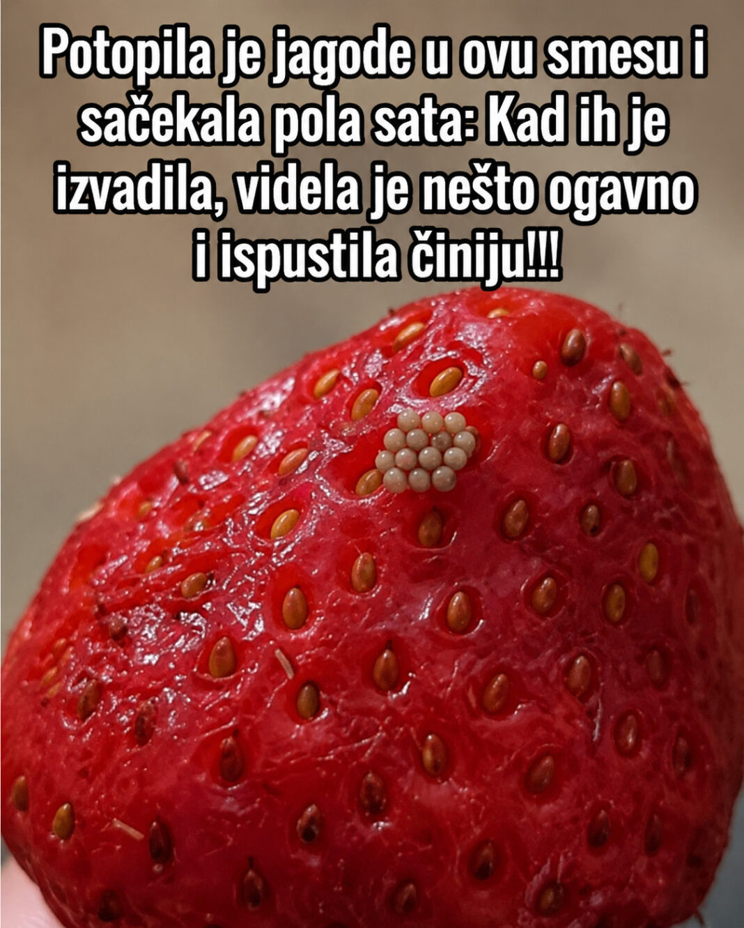 Potopila je jagode u ovu smesu i sačekala pola sata: Kad ih je izvadila, videla je nešto ogavno i ispustila činiju!!! - featured image Potopila je jagode u ovu smesu i sačekala pola sata: Kad ih je izvadila, videla je nešto ogavno i ispustila činiju!!! - featured image
