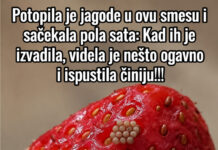 Potopila je jagode u ovu smesu i sačekala pola sata: Kad ih je izvadila, videla je nešto ogavno i ispustila činiju!!! Potopila je jagode u ovu smesu i sačekala pola sata: Kad ih je izvadila, videla je nešto ogavno i ispustila činiju!!! - featured image