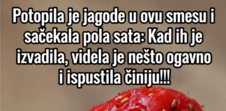 Potopila je jagode u ovu smesu i sačekala pola sata: Kad ih je izvadila, videla je nešto ogavno i ispustila činiju!!! Potopila je jagode u ovu smesu i sačekala pola sata: Kad ih je izvadila, videla je nešto ogavno i ispustila činiju!!! - featured image