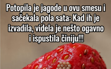 Potopila je jagode u ovu smesu i sačekala pola sata: Kad ih je izvadila, videla je nešto ogavno i ispustila činiju!!! Potopila je jagode u ovu smesu i sačekala pola sata: Kad ih je izvadila, videla je nešto ogavno i ispustila činiju!!! - featured image