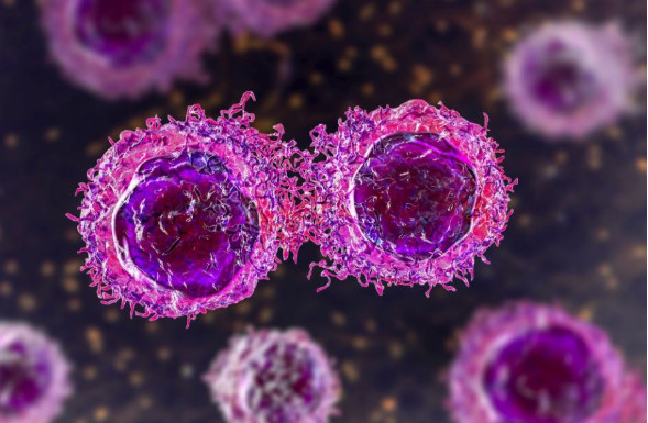 7 testova koji mogu pomoći da otkrijete rak pre nego što se “probudi”: Ovo svako treba da zna - featured image 7 testova koji mogu pomoći da otkrijete rak pre nego što se “probudi”: Ovo svako treba da zna - featured image