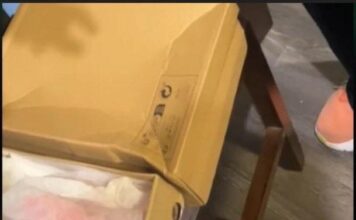 Žena naručila papuče preko Temu-a, kada su joj stigle, umelo nije doživela šlog! Prevrnula se na glavu kada je… Žena naručila papuče preko Temu-a, kada su joj stigle, umelo nije doživela šlog! Prevrnula se na glavu kada je… - featured image