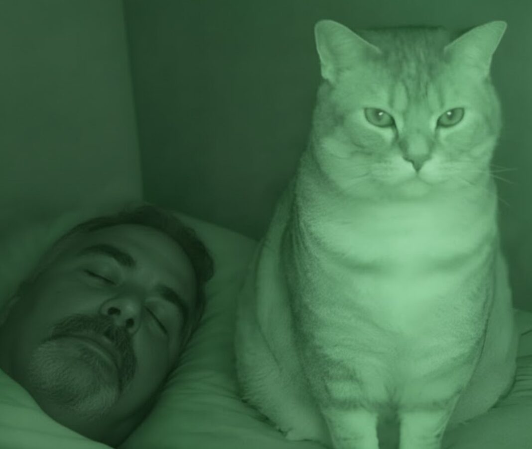 Nisam razumela zašto nas mačka svake noći posmatra mene i mog muža dok spavamo. - featured image Nisam razumela zašto nas mačka svake noći posmatra mene i mog muža dok spavamo. - featured image
