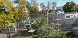 Vrisci odzvanjali zoološkim vrtom! Trogodišnjak bačen krokodilima – šta se ovo dešava?! Vrisci odzvanjali zoološkim vrtom! Trogodišnjak bačen krokodilima – šta se ovo dešava?! - featured image