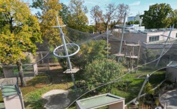 Vrisci odzvanjali zoološkim vrtom! Trogodišnjak bačen krokodilima – šta se ovo dešava?! Vrisci odzvanjali zoološkim vrtom! Trogodišnjak bačen krokodilima – šta se ovo dešava?! - featured image