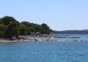 U plićaku Jadrana viđeno opasno stvorenje: Približilo se popularnoj plaži, upozorenje za turiste i kupače U plićaku Jadrana viđeno opasno stvorenje: Približilo se popularnoj plaži, upozorenje za turiste i kupače - featured image
