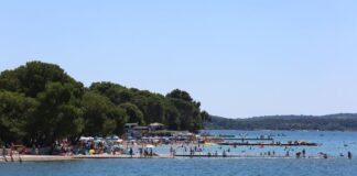 U plićaku Jadrana viđeno opasno stvorenje: Približilo se popularnoj plaži, upozorenje za turiste i kupače U plićaku Jadrana viđeno opasno stvorenje: Približilo se popularnoj plaži, upozorenje za turiste i kupače - featured image