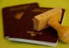 Izašla lista najmoćnijih pasoša na svetu: Evo na kom mestu je srpski Izašla lista najmoćnijih pasoša na svetu: Evo na kom mestu je srpski - featured image