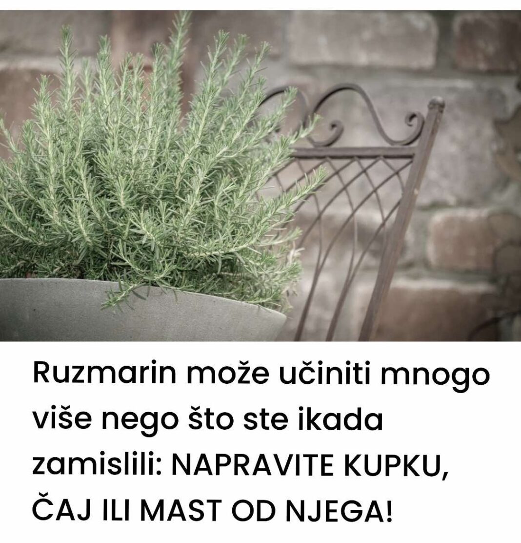 Ruzmarin može učiniti mnogo više nego što ste ikada zamislili: NAPRAVITE KUPKU, ČAJ ILI MAST OD NJEGA! - featured image