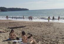 Panika kod Sutomora, JEZIVO MORSKO STVORENJE sledilo kupače!SVI PREDTRAVLJENI POBJEGLI SA PLAŽE GLAVOM BEZ OBZIRA!!! Panika kod Sutomora, JEZIVO MORSKO STVORENJE sledilo kupače!SVI PREDTRAVLJENI POBJEGLI SA PLAŽE GLAVOM BEZ OBZIRA!!! - featured image