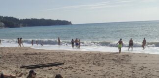 Panika kod Sutomora, JEZIVO MORSKO STVORENJE sledilo kupače!SVI PREDTRAVLJENI POBJEGLI SA PLAŽE GLAVOM BEZ OBZIRA!!! Panika kod Sutomora, JEZIVO MORSKO STVORENJE sledilo kupače!SVI PREDTRAVLJENI POBJEGLI SA PLAŽE GLAVOM BEZ OBZIRA!!! - featured image