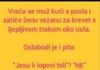 VIC DANA: Ne svađaj se sa molerima VIC DANA: Ne svađaj se sa molerima - featured image