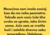 „Poslednjih nekoliko meseci imala sam osećaj kao da me neko posmatra.” „Poslednjih nekoliko meseci imala sam osećaj kao da me neko posmatra.” - featured image