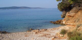 MARINA SKUPILA HRABROST I OTIŠLA NA NUDISTIČKU PLAŽU NA ADI: Nije ni sanjala da će tamo doživeti najveće poniženje IKADA MARINA SKUPILA HRABROST I OTIŠLA NA NUDISTIČKU PLAŽU NA ADI: Nije ni sanjala da će tamo doživeti najveće poniženje IKADA - featured image