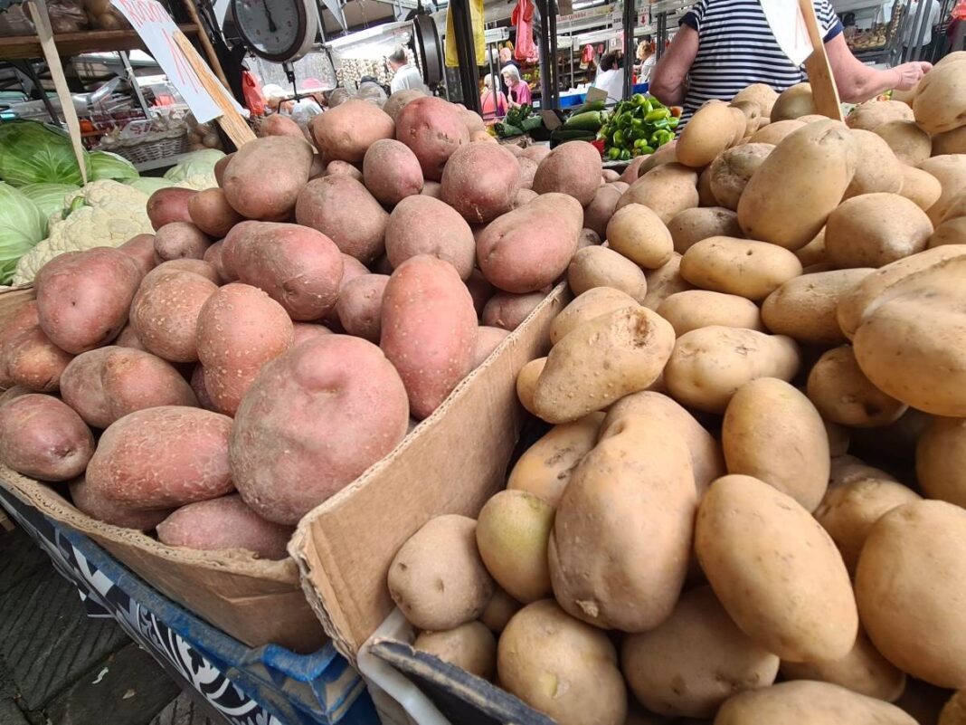 STRUČNJACI OTKRILI DA LI JE BOLJI CRVENI ILI BIJELI KROMPIR: Razlika je velika, a ovaj je zdraviji - featured image STRUČNJACI OTKRILI DA LI JE BOLJI CRVENI ILI BIJELI KROMPIR: Razlika je velika, a ovaj je zdraviji - featured image