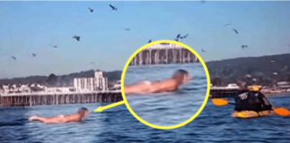 Snimala je svoju kćerku na plaži, ali nije ni slutila šta će se desiti narednih sekundi! Snimala je svoju kćerku na plaži, ali nije ni slutila šta će se desiti narednih sekundi! - featured image