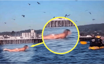 Snimala je svoju kćerku na plaži, ali nije ni slutila šta će se desiti narednih sekundi! Snimala je svoju kćerku na plaži, ali nije ni slutila šta će se desiti narednih sekundi! - featured image