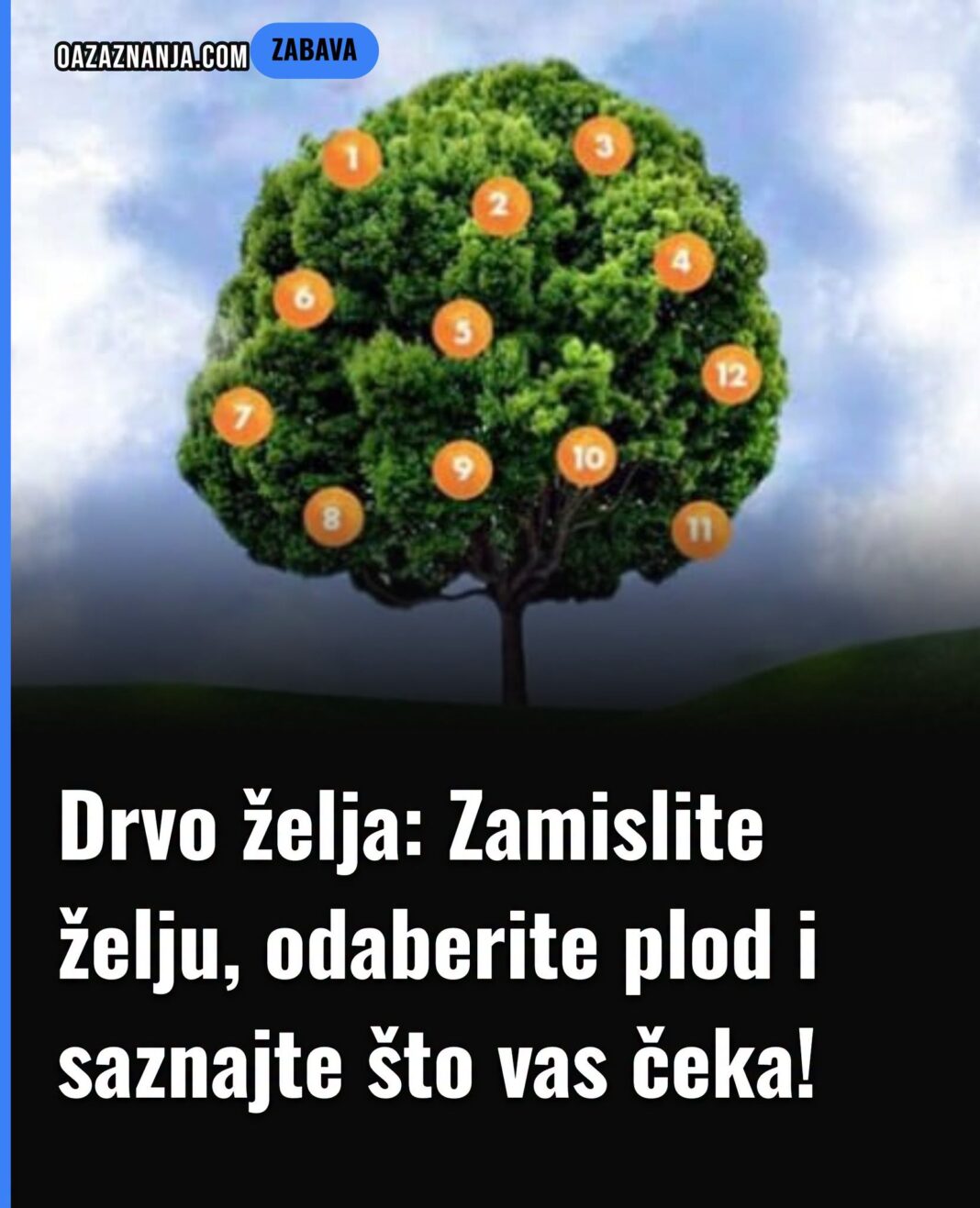 Drvo želja: Zamislite želju, odaberite plod i saznajte što vas čeka! - featured image