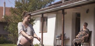 Pokosila sam travu 82-godišnjoj udovici iz susjedstva; sljedećeg jutra sudski izvršitelj pokucao je na moja vrata sa zahtjevom od kojeg mi se sledila krv u žilama. Pokosila sam travu 82-godišnjoj udovici iz susjedstva; sljedećeg jutra sudski izvršitelj pokucao je na moja vrata sa zahtjevom od kojeg mi se sledila krv u žilama. - featured image