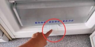 Ima ga u skoro svakom zamrzivaču: Malo ljudi zna čemu OVA STVAR služi! Ima ga u skoro svakom zamrzivaču: Malo ljudi zna čemu OVA STVAR služi! - featured image