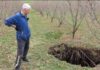 U GORNJEM VAKUFU O KOJEM PRIČA REGIJA: “Kao da stižu posljednji dani” U GORNJEM VAKUFU O KOJEM PRIČA REGIJA: “Kao da stižu posljednji dani” - featured image