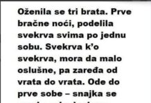 Oženila se tri brata. Prve bračne noći, podijelila svekrva… Oženila se tri brata. Prve bračne noći, podijelila svekrva… - featured image