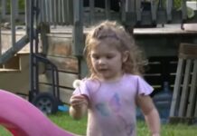 Djevojčica (2) danima ležala u ŠUMI: Kada su je pronašli, svojim riječima je RASPLAKALA cijelu zemlju Djevojčica (2) danima ležala u ŠUMI: Kada su je pronašli, svojim riječima je RASPLAKALA cijelu zemlju - featured image