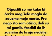 Nepravedno sam dobila otkaz — a na kraju se ispostavilo da je to bila moja pobeda Nepravedno sam dobila otkaz — a na kraju se ispostavilo da je to bila moja pobeda - featured image