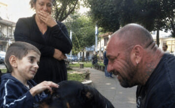 Dječak u invalidskim kolicima koji je zamolio za psa… i zauvijek promijenio dva slomljena života 😱💔 Dječak u invalidskim kolicima koji je zamolio za psa… i zauvijek promijenio dva slomljena života 😱💔 - featured image