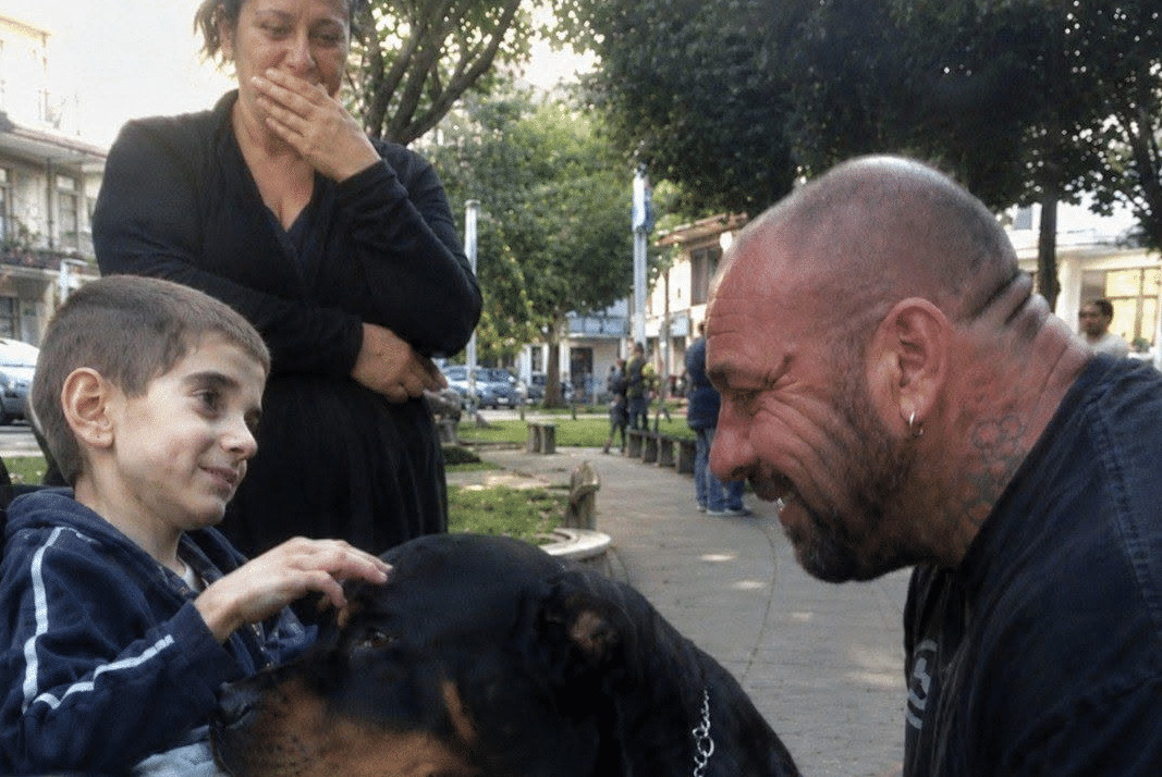 Dječak u invalidskim kolicima koji je zamolio za psa… i zauvijek promijenio dva slomljena života 😱💔 - featured image Dječak u invalidskim kolicima koji je zamolio za psa… i zauvijek promijenio dva slomljena života 😱💔 - featured image