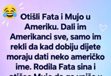 VIC DANA: Fata i Mujo u Americi VIC DANA: Fata i Mujo u Americi - featured image