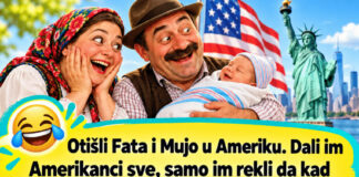 VIC DANA: Fata i Mujo u Americi VIC DANA: Fata i Mujo u Americi - featured image