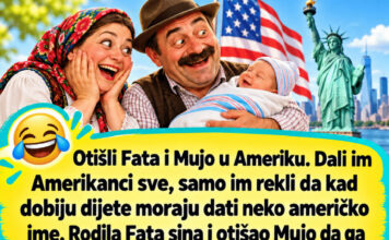 VIC DANA: Fata i Mujo u Americi VIC DANA: Fata i Mujo u Americi - featured image
