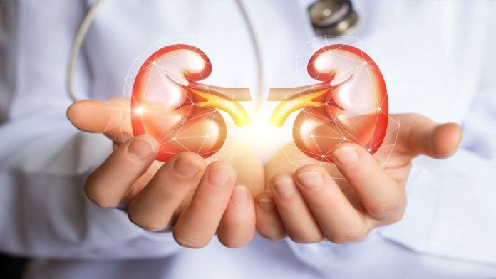 RAK BUBREGA IMA 6 SIMPTOMA – TEŠKO SE PREPOZNAJU: Posebno obratite pažnju na broj 2 - featured image RAK BUBREGA IMA 6 SIMPTOMA – TEŠKO SE PREPOZNAJU: Posebno obratite pažnju na broj 2 - featured image